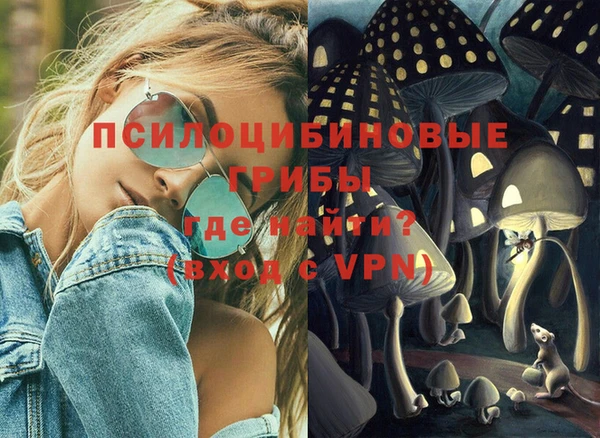 сатива Аркадак