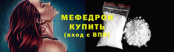 прущие грибы Вязьма