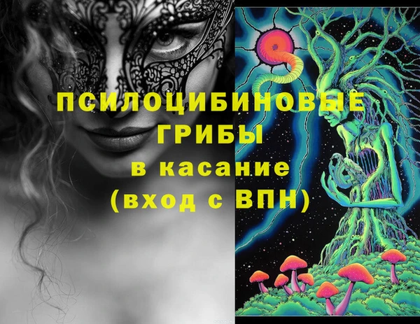 сатива Аркадак