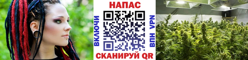 shop какой сайт Остров Каннабис VHQ